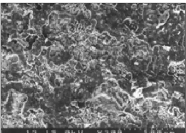 Fig. 5. Rexillium Ⅲ surface after ceramic-metal bond test(×300). 