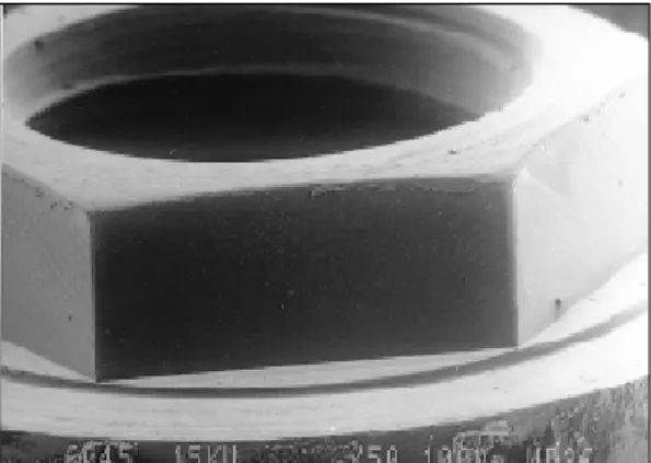Fig. 15. SEM of edge in the external hex of implant con- con-nected to the one piece cementation type abutment(×