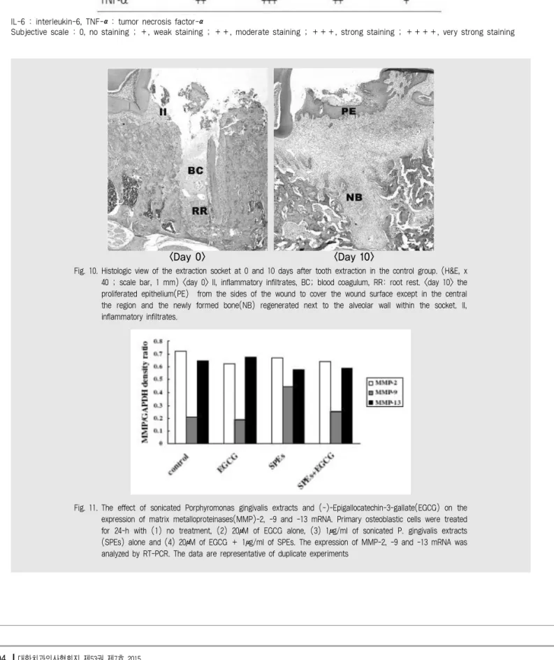Table 4.  Staining intensity of tested cytokines in the extraction socket of the control group