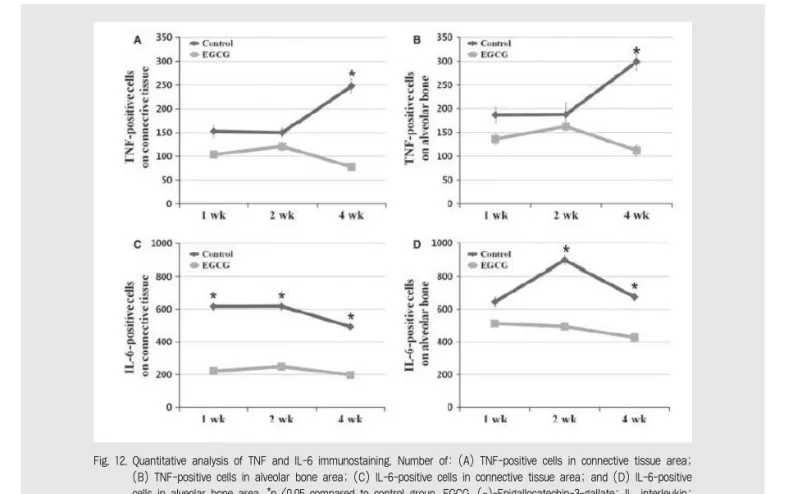 Fig. 12. Quantitative analysis of TNF and IL-6 immunostaining. Number of: (A) TNF-positive cells in connective tissue area;