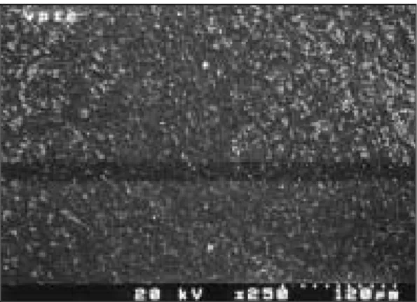 Fig. 12-3. SEM of weld seam treated by E. beam on C.P. Titanium (×250). 