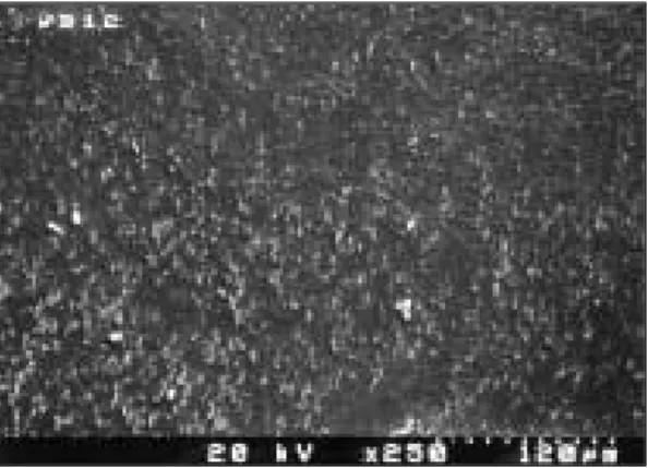 Fig. 13-1. SEM of parent material treated by TIG on C.P. Titanium (×250). 