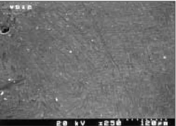 Fig. 16-1. SEM of parent material treated by TIG on Ti-6Al-4V (×250). 