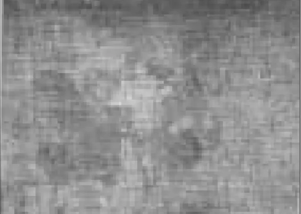 Fig. 17-2. Longitudinal metallographic cross section through C.P. Titanium treated by E