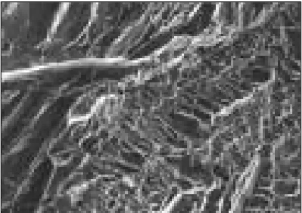 Fig. 4-1. SEM of fractured surface for laser welded specimen of C.P.Ti(×30).