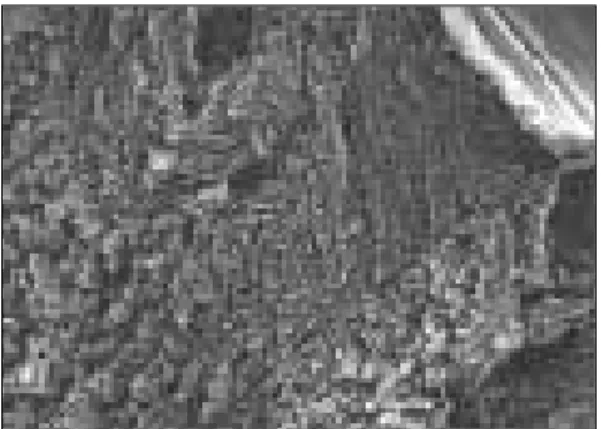 Fig. 8-1. SEM of fractured surface for laser welded specimen of Ti-6Al-4V alloy (×30).