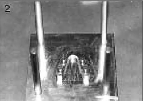 Fig. 4. Feature of individual tray attached to acrylic plate