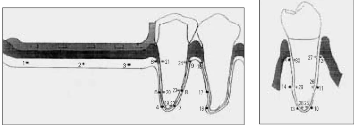 Fig. 1. The reference points for the experiment.