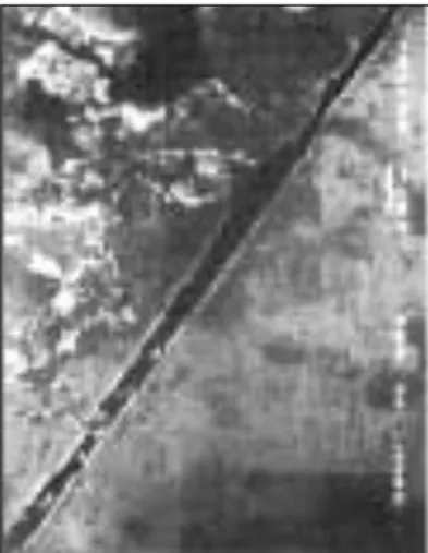 Fig. 13-a. SEM presentation after crevice corrosion of casting sample using gold coping.