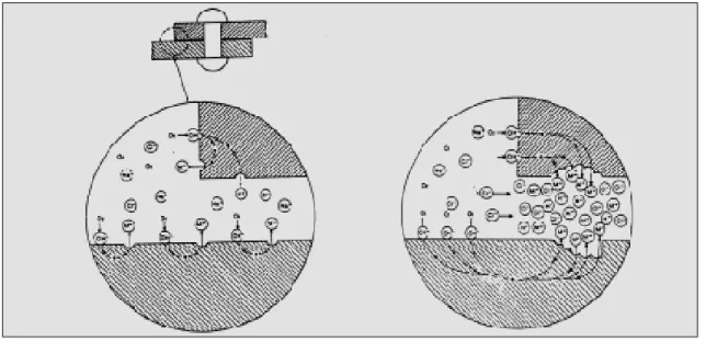 Fig. 5. Schematic diagram of crevice corrosion.