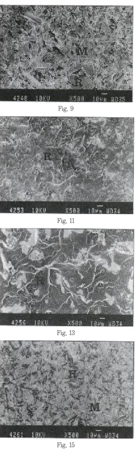 Fig. 9 Fig. 11 Fig. 13 Fig. 15 Fig. 10 Fig. 12Fig. 14Fig. 16사진부도 1