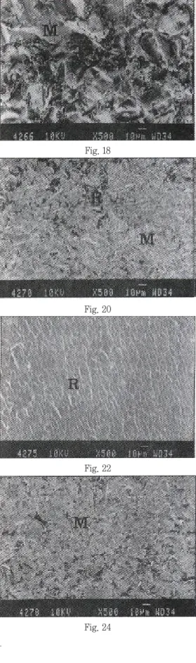 Fig. 17 Fig. 19 Fig. 23 Fig. 18Fig. 20Fig. 21Fig. 22Fig. 24사진부도 2