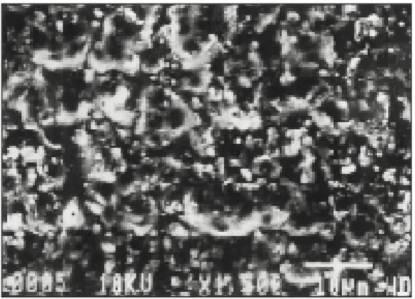 Fig. 3. Scanning electron microscopic view of QC- QC-20 acrylic resin cured by pack and press technique (sample A).