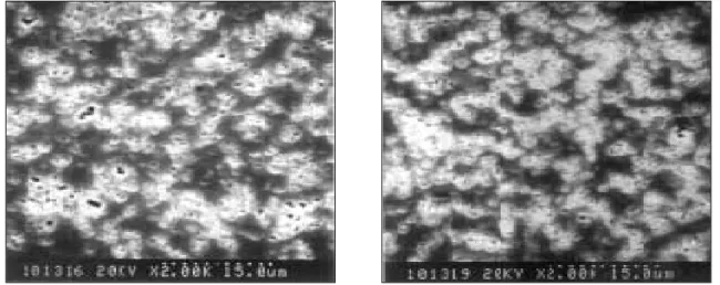 Fig. 4. SEM photographs of Dentin A2 ingot(left: specimen using single sprue, right: specimen using dou- dou-ble sprue) according to sprue type