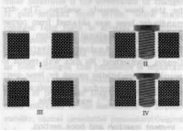Fig. 2. Projection of x-ray beam BL=bucco-lingual projection,  MD=mesio-distal projection,