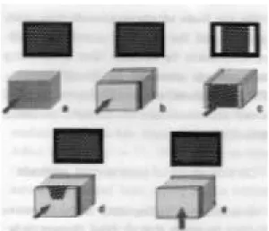 Fig. 7. Radiographic images ;