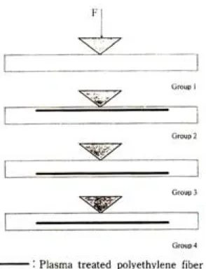Fig. 2. Schematic comparison of specimens
