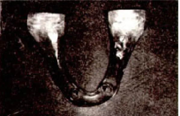 Fig. 1. Photoelastic model