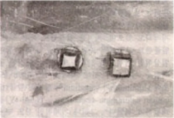 Fig. 1. Two experimental implant fixtures were installed in rabbit tibia