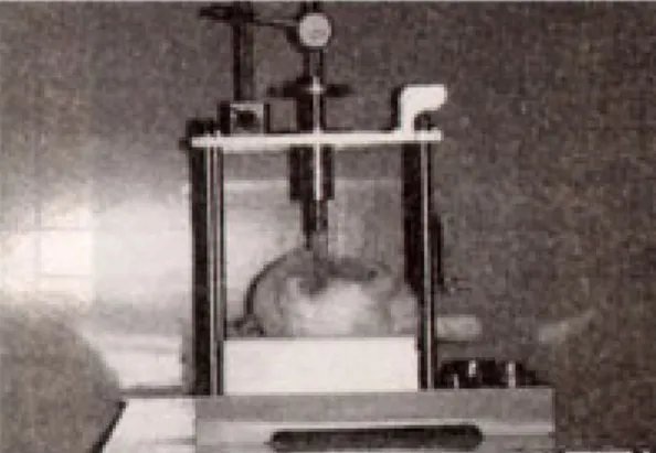 Fig. 2. The newly developed device for measuring removal torque force