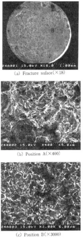 Fig. 8 Fracture surface of the 14K gold-alloy soldered joint in titanium using vacuum infrared heating.
