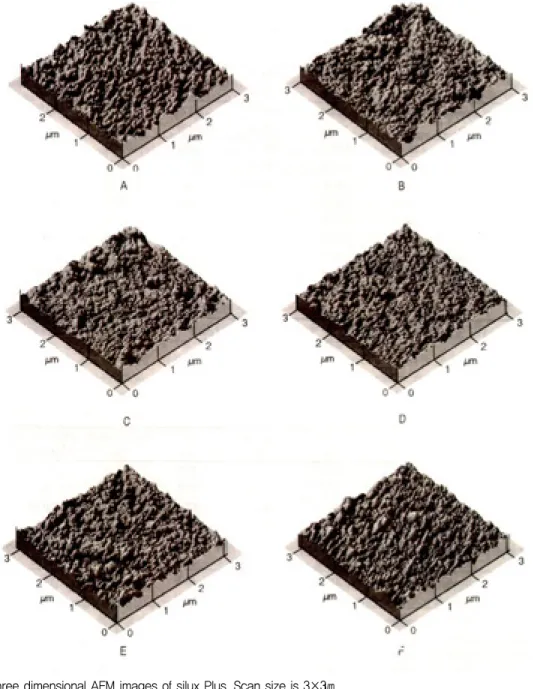 Fig. 2. Three dimensional AFM images of silux Plus. Scan size is 3×3㎛ .