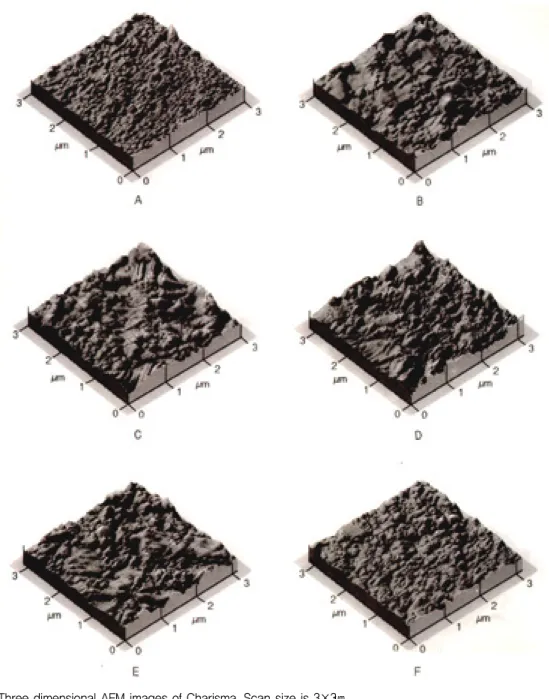 Fig. 3. Three dimensional AFM images of Charisma. Scan size is 3×3㎛ .