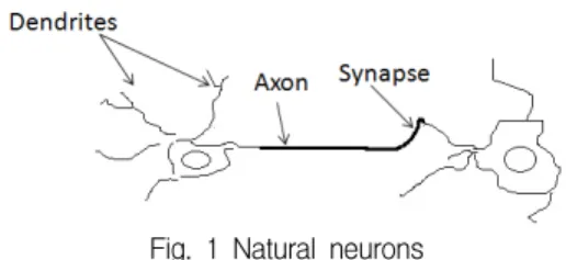 Fig.  2  An  neuron  model