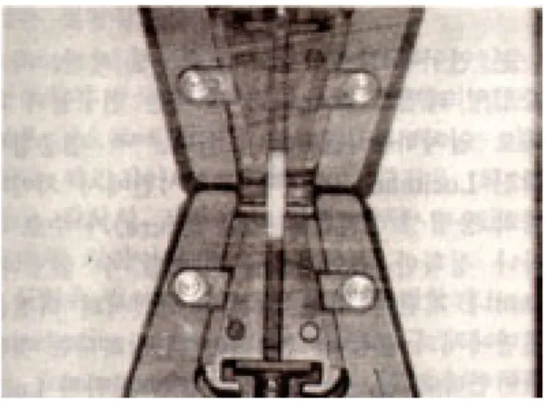 Fig 4. Tooth-resin specimen for tensile testing on Instron testing machine.