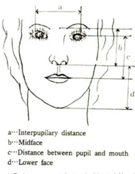 Fig. 1. Fach meaurement factors in this study(Anterior view)