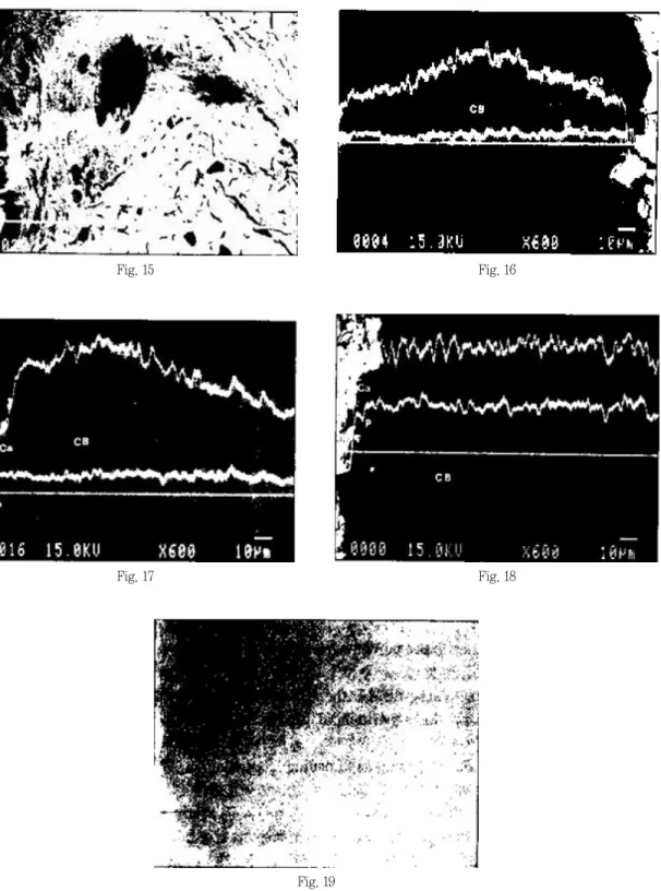 Fig. 15 Fig. 16
