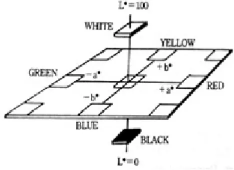 Table 3. Mean values and standard deviations of the L* a*, b* before thermocycling