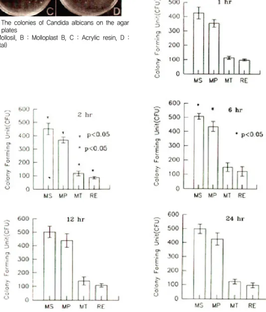 Fig. 2. The colonies of Candida albicans on the agar plates