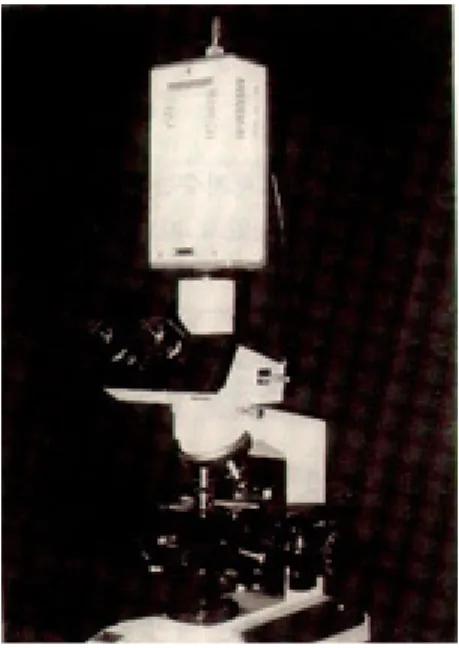 Fig. 3. Bacterial morphotypes under phase-contrast microscope(I).