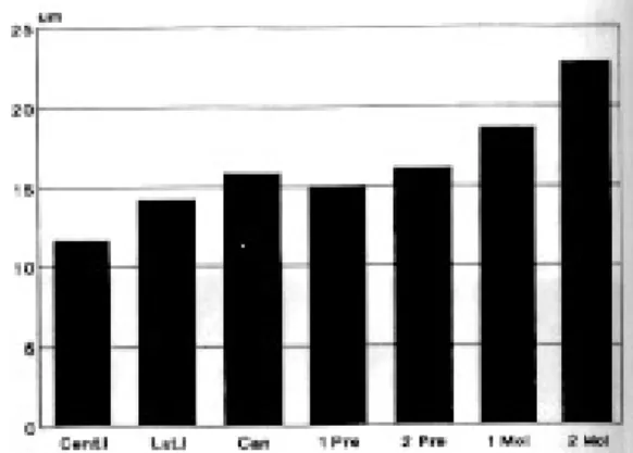 Fig. 5. Occlusal perception threshold of thickness in normal dentition group(㎛).