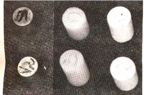 Fig. 2. Theromo-mechanical analyzer(Stanton Co., Model TMA 1500).