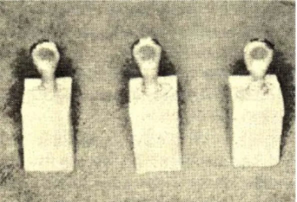 Fig. 4 : Diagram illustrating test method.