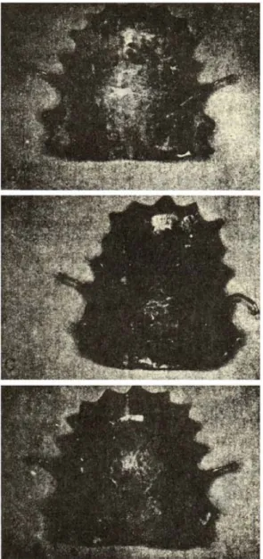 Fig. 1 : A view of the plates for the test
