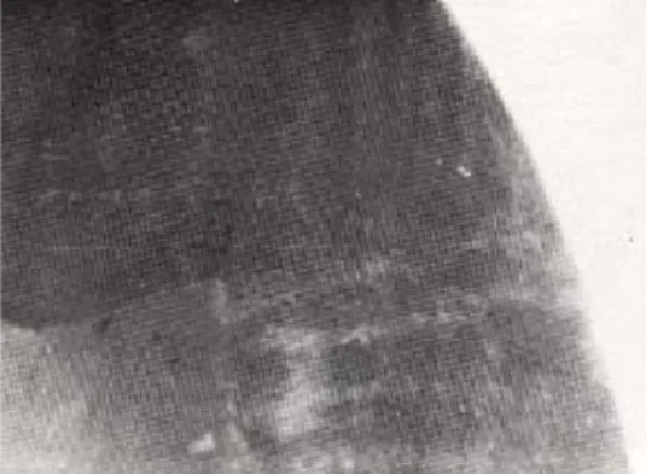 Fig. 2 Fig. 4 Fig. 6 Fig. 3Fig. 5Fig. 7유제국∙배정식∙이호용 논문사진부도 ①