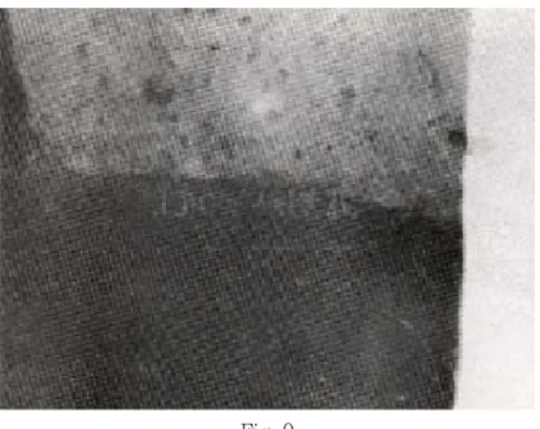 Fig. 8 Fig. 10 Fig. 12 Fig. 9 Fig. 11 Fig. 13유제국∙배정식∙이호용 논문사진부도 ②