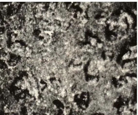 Fig. 11: A SEM photomicrograph showing air-abraded metal surface with 50㎛ aluminum oxide(×2000)