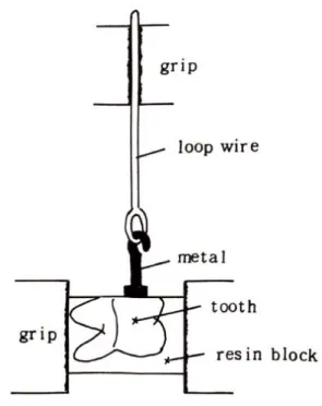 Fig. 3 : Diagram illustrating test method for determing tensile breaking force.