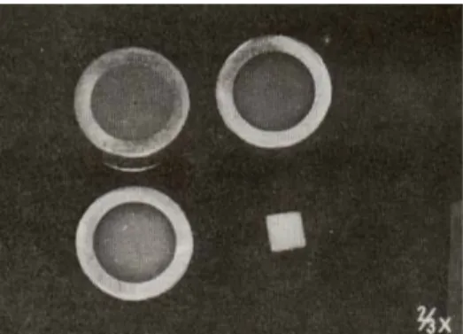 Fig. 3 : The Ivoclar IVOMAT.