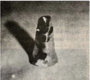 Fig. 3 : Metal butt margin.