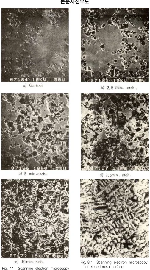 Fig. 7 : Scanning  electron  microscopy of etched porcelain surfaces