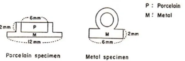 Fig. 1 : Schematic representation of specimen.
