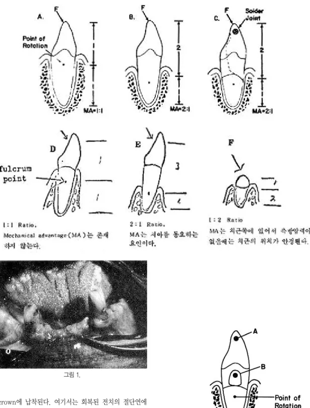 그림 1.
