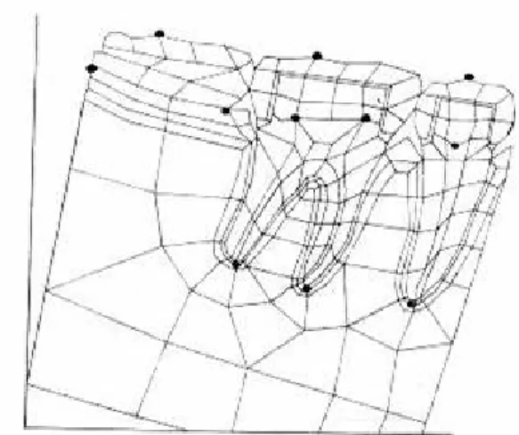 Table 4. Displacement of the telescope denture.