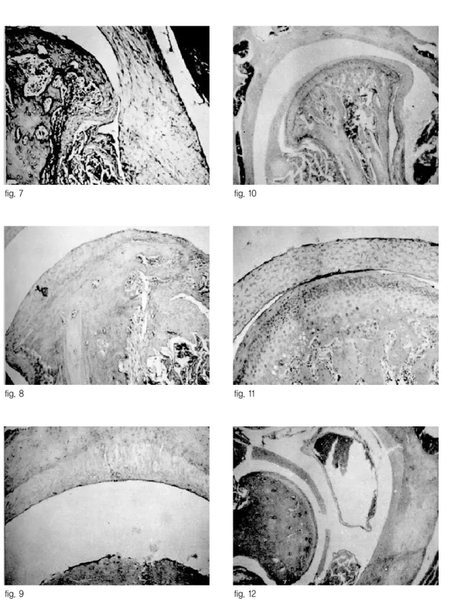 fig. 7 fig. 10
