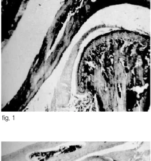 fig. 3 fig. 6